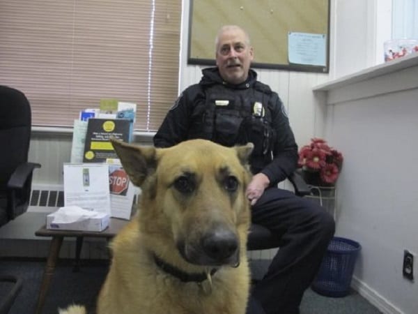 Sammy-Police-dog